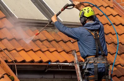 Démoussage et hydrofuge de toiture à Paillé